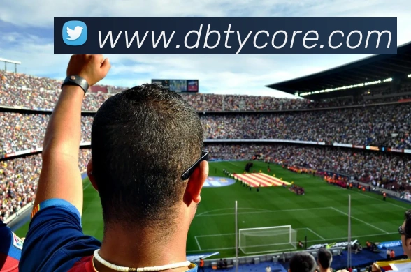 DB体育平台生态图